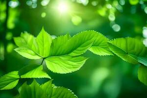 Grün Blätter im das Sonnenlicht. KI-generiert foto