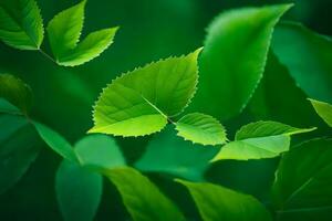 Grün Blätter auf ein Grün Hintergrund. KI-generiert foto