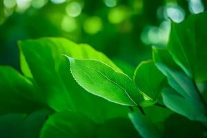 Grün Blatt, Natur, Natur Fotografie, Natur, Natur Fotografie, Natur Fotografie, Natur Fotografie,. KI-generiert foto