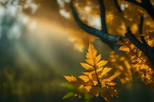 Foto Hintergrund Herbst, das Sonne, Blätter, Bäume, das Sonne, Herbst, das Bäume,. KI-generiert