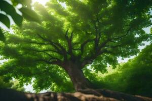 ein Baum im das Wald mit Sonnenlicht leuchtenden durch Es. KI-generiert foto