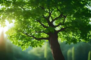 ein Baum ist gezeigt im das Sonnenlicht mit Grün Blätter. KI-generiert foto