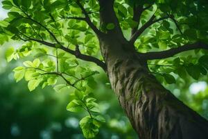 ein Baum mit Grün Blätter im das Hintergrund. KI-generiert foto