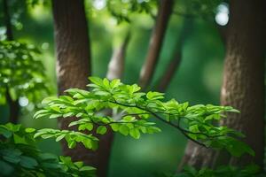 Grün Blätter auf ein Baum Ast im das Wald. KI-generiert foto