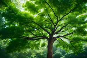 ein Baum ist gezeigt im das Sonnenlicht mit Grün Blätter. KI-generiert foto