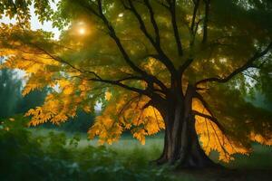 ein Baum mit Gelb Blätter im das Sonne. KI-generiert foto