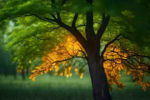 ein Baum mit Gelb Blätter im das Mitte von ein Grün Feld. KI-generiert foto