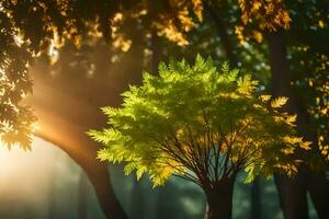 ein Baum im das Wald mit das Sonne leuchtenden durch. KI-generiert foto