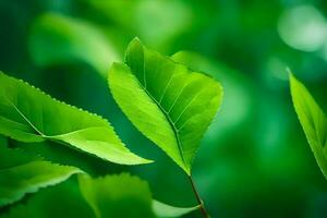 Grün Blätter auf ein Baum. KI-generiert foto