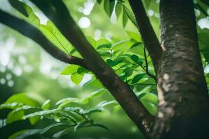 ein Baum mit Grün Blätter und Sonnenlicht. KI-generiert foto