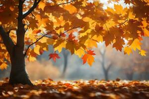 Foto Hintergrund Blätter, das Sonne, Herbst, Bäume, Blätter, Herbst, das Sonne, Herbst. KI-generiert