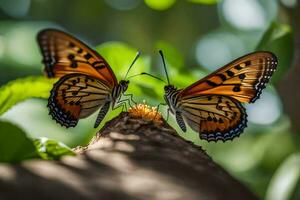 zwei Schmetterlinge sind Sitzung auf oben von ein Baum. KI-generiert foto