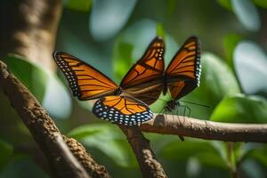 zwei Monarch Schmetterlinge sind Sitzung auf ein Ast. KI-generiert foto