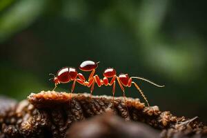 ein rot Ameise auf ein Baum Stamm. KI-generiert foto