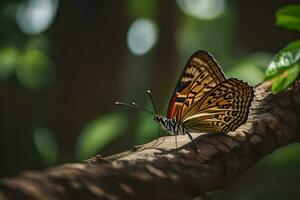ein Schmetterling sitzt auf ein Ast im das Wald. KI-generiert foto