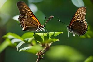 zwei Schmetterlinge sind Sitzung auf ein Grün Blatt. KI-generiert foto