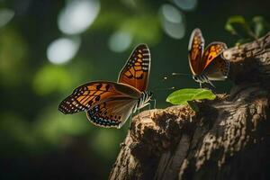 zwei Schmetterlinge sind Sitzung auf ein Baum Stamm. KI-generiert foto