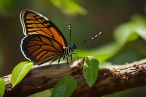 ein Schmetterling ist Sitzung auf ein Ast mit Blätter. KI-generiert foto