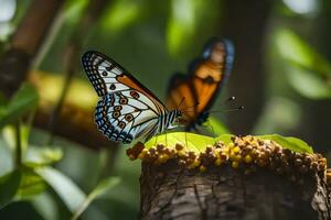 Schmetterlinge im das Wald. KI-generiert foto