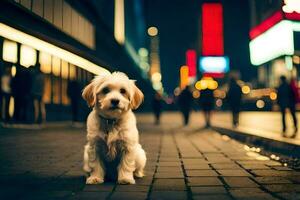 ein Hund Sitzung auf das Bürgersteig beim Nacht. KI-generiert foto