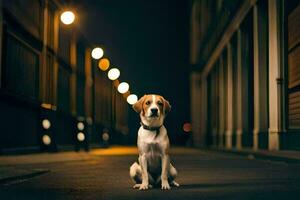 ein Hund Sitzung auf das Straße beim Nacht. KI-generiert foto