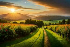 das Sonne steigt an Über ein Weinberg Feld. KI-generiert foto