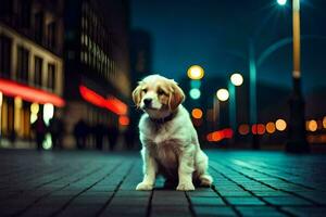 ein Hund Sitzung auf das Straße beim Nacht. KI-generiert foto