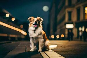 ein Hund Sitzung auf das Bürgersteig beim Nacht. KI-generiert foto