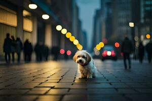 ein klein Hund Stehen auf ein Straße beim Nacht. KI-generiert foto