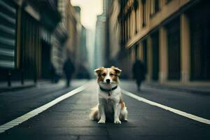 ein Hund Sitzung auf das Straße im ein Stadt. KI-generiert foto