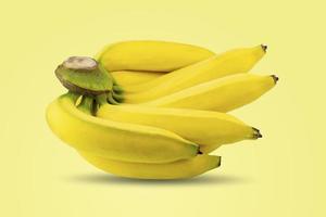 Bananen auf dem gleichen Zweig isoliert auf gelbem Pastellfarbenhintergrund