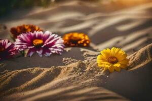 Foto Hintergrund Sand, Blumen, das Sonne, das Strand, das Sand, Blumen, das Strand. KI-generiert