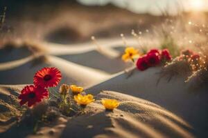 Foto Hintergrund Sand, Blumen, das Sonne, das Wüste, Blumen, das Wüste, Blumen,. KI-generiert