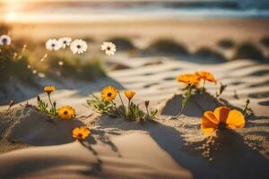 Blumen auf das Strand beim Sonnenuntergang. KI-generiert foto