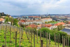 Prag von der Prager Burg aus gesehen foto