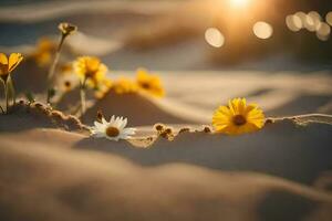 Sonnenuntergang im das Wüste mit Blumen. KI-generiert foto