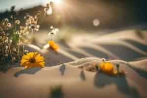 Sonnenlicht leuchtenden durch das Sand und Blumen im das Wüste. KI-generiert foto