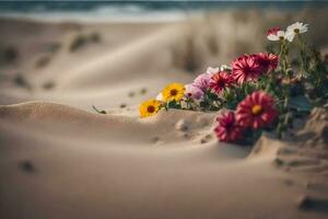 Blumen im das Sand. KI-generiert foto