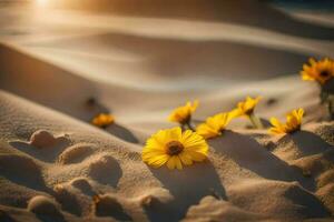 das Sonne ist Rahmen auf das Wüste und das Blumen sind Blühen. KI-generiert foto