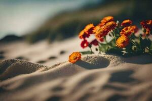 Blumen im das Sand. KI-generiert foto