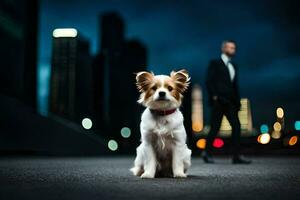 ein Hund Sitzung im das Mitte von ein Stadt Straße beim Nacht. KI-generiert foto