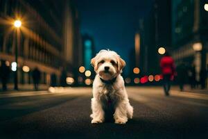 ein klein Hund Sitzung auf das Straße beim Nacht. KI-generiert foto