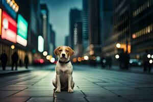 ein Hund Sitzung auf das Straße im ein Stadt. KI-generiert foto