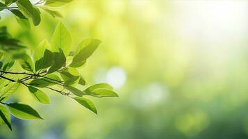 frisch Grün Blätter, Anlage, Frühling oder Sommer- Jahreszeit, Bokeh, verwischen abstrakt Hintergrund. generativ ai foto