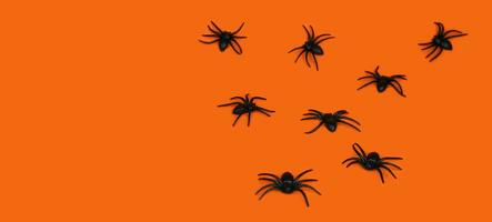festlich Hintergrund zum Halloween. schwarz Spinnen auf ein Orange Hintergrund. Banner. Kopieren Raum. selektiv Fokus. foto