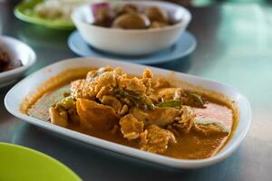 leckeres thailändisches Panang Curry foto