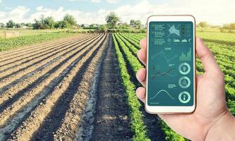 Telefon mit Infografiken auf das Hintergrund von ein Bauernhof Feld Plantage. Prozess von Ernte Reifung, Feuchtigkeit und Boden Ernährung. innovativ Technologien im das Agro-Industrie und Essen Produktion. foto