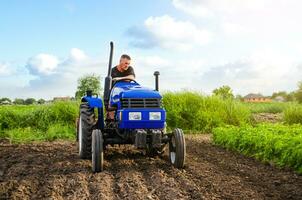 Farmer auf ein Traktor funktioniert im das Feld. saisonal Arbeiter. Rekrutierung Arbeitskräfte mit Kompetenzen im Fahren landwirtschaftlich Maschinen. Mahlen Boden, Lockerung Boden Vor Schneiden Reihen. Landwirtschaft Landwirtschaft foto