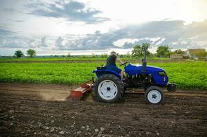 ein Farmer auf ein Traktor Mühlen und kultiviert ein landwirtschaftlich Feld. Mahlen Boden, Quetschen und Lockerung Boden Vor Schneiden Reihen. verwenden von landwirtschaftlich Maschinen und zu vereinfachen und Geschwindigkeit oben Arbeit foto