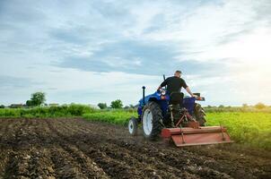 ein Farmer auf ein Traktor mahlt das Boden Vor Pflanzen ein Neu Ernte. Arbeit auf das Plantage, vorbereiten das Boden. Land Anbau. Landwirtschaft, Landwirtschaft. Befreiung Ackerland von alt Getreide. foto